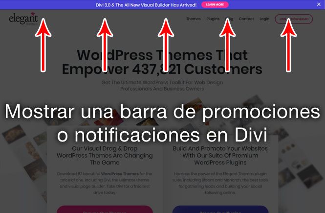 Mostrar una barra de promociones en Divi