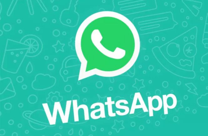 Conectar WordPress y WhatsApp