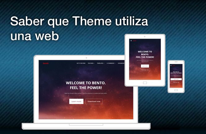 Saber el Theme de WordPress