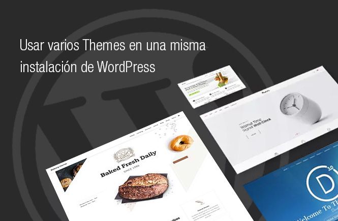 Usar varios Themes en una misma instalación de WordPress